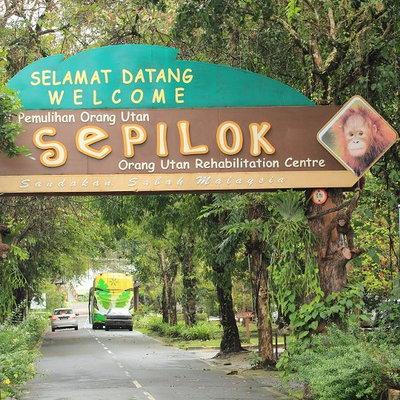 Sepilok Borneo 2