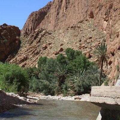 Todra (17)