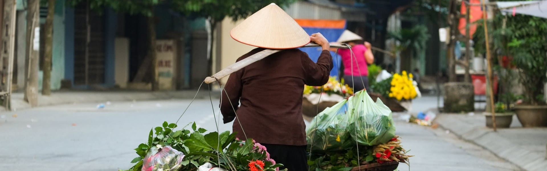 banners vietnam (15)