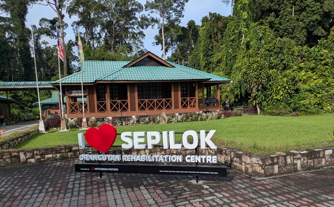 Sepilok Orang Utans